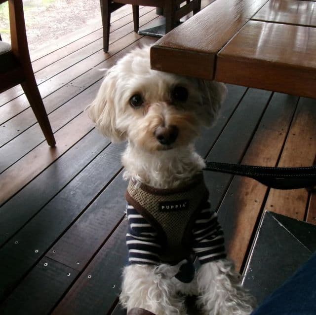 「凄く趣のあるいい写真」あのブランチリポーターが元NMB48・山田菜々とカメラ仲間に！