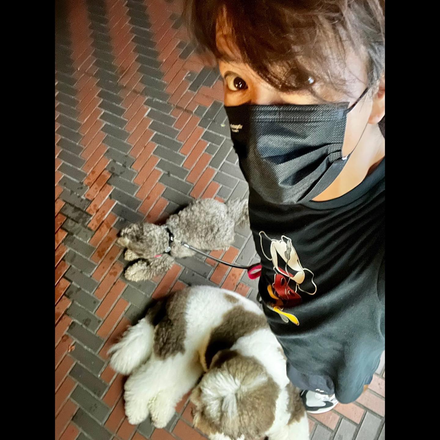 木村拓哉さん、愛犬と夜の散歩へ🚶‍♀️ まさかの動物と遭遇も「happyだったみたい」