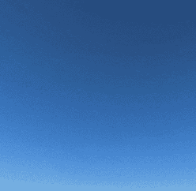 本田翼 今年初投稿✨ ファンへ自身の思いを綴る📝