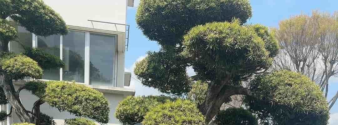 北野日奈子、JRA競馬学校でのショットを公開　「胸熱で充実した時間を過ごせました」と感想も