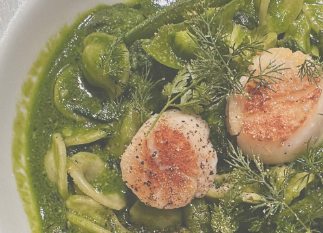 松島聡、朝からおしゃれなホタテパスタを堪能！「美味しそう♡」