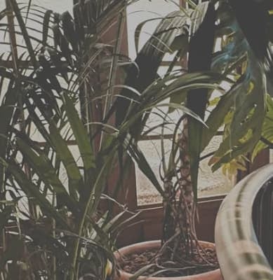 timelesz・松島聡 自宅の一部を公開！？ファン絶賛の嵐！