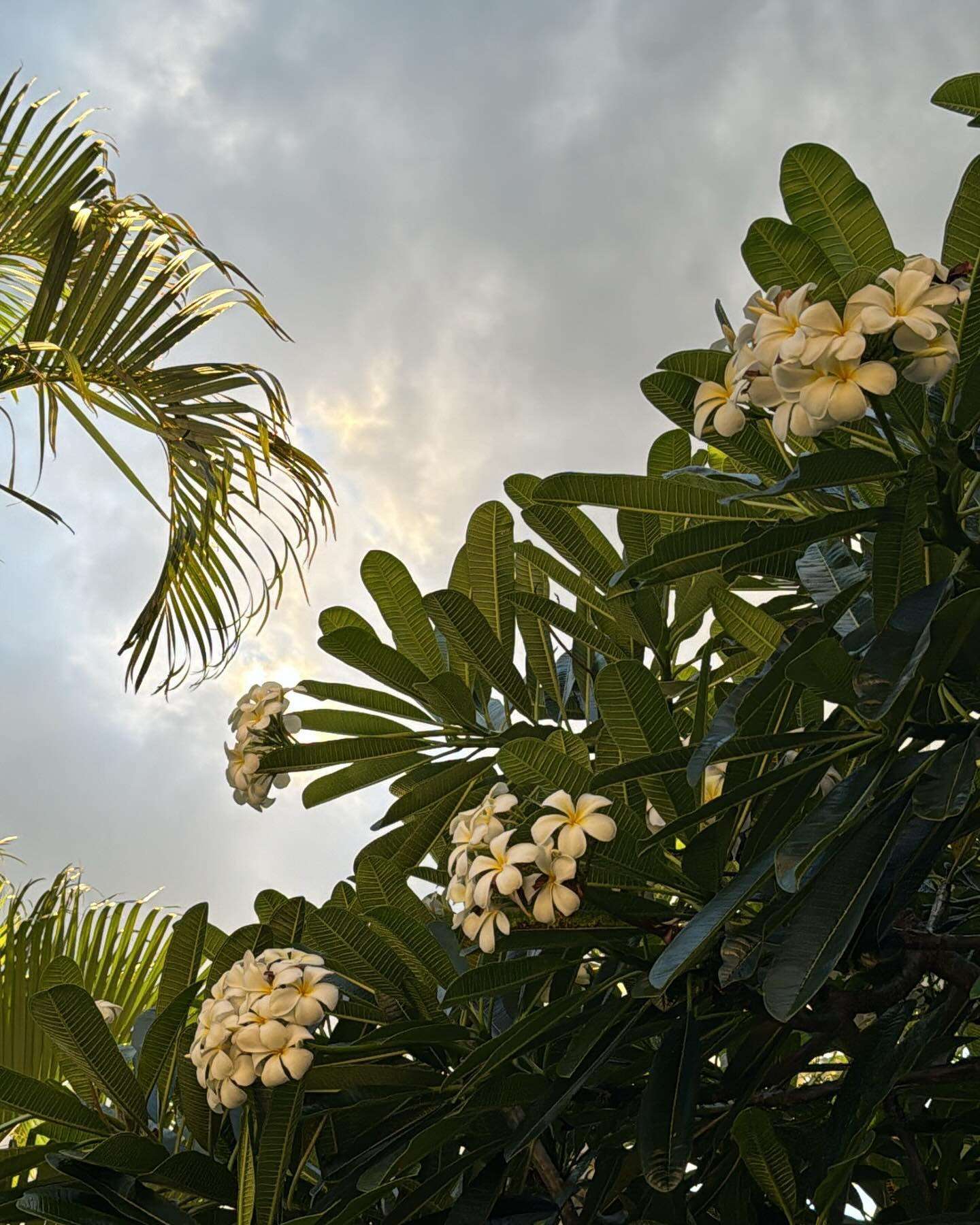 吉川ひなの 今後の夫婦関係について報告「これまでとは違う新しい家族の形を目指す」