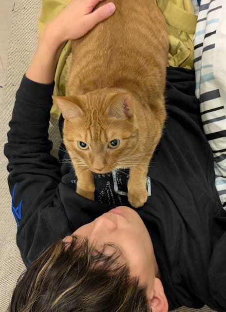 「たぶんずっとこの状態」松丸亮吾と愛猫の微笑ましいワンシーンが話題に