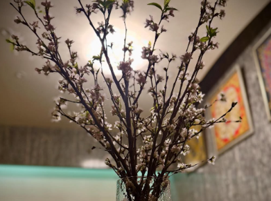 浜崎あゆみ「わたしの日というよりTAの日」感謝のメッセージにファン感涙！