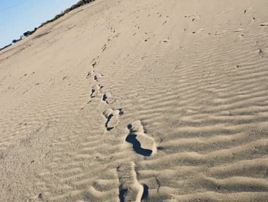 SixTONES・京本大我の努力の積み重ねが分かる1枚！『奇跡と軌跡』が素晴らしいと話題に！