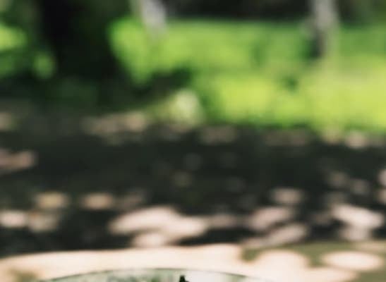 “伝説の家政婦”タサン志麻が涼やかなトマトレシピを紹介！