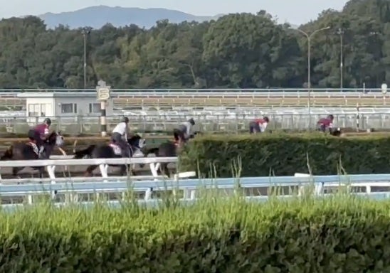 アメリカ→佐賀と激動の坂井瑠星、エリザベス女王杯へ着々と準備