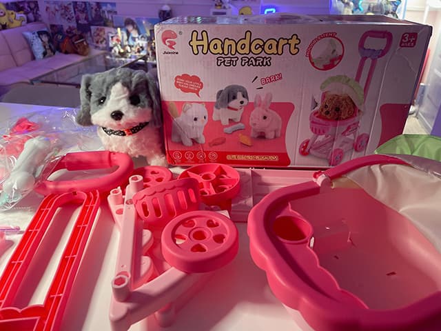 「遂にお迎えしましたワ〜ンッ」空野青空、念願の〇〇をゲットに大興奮！