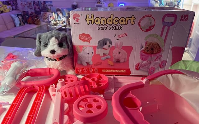 「遂にお迎えしましたワ〜ンッ」空野青空、念願の〇〇をゲットに大興奮！