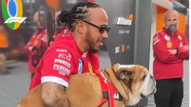 “パドックの王”が堂々登場！Roscoeがレッドの装いでファンのハートを鷲掴み