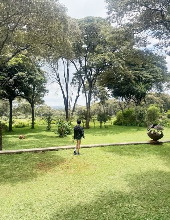 「シンバに見えてくる!?」市川海老蔵が公開した息子のショットに反響続々！