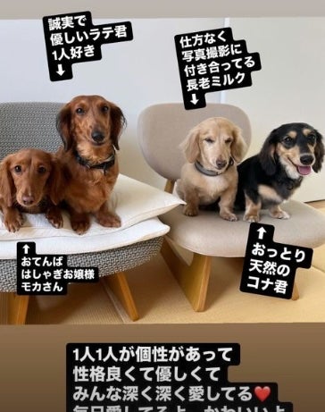 情報量過多。あの有名歌手がたくさん愛犬を紹介