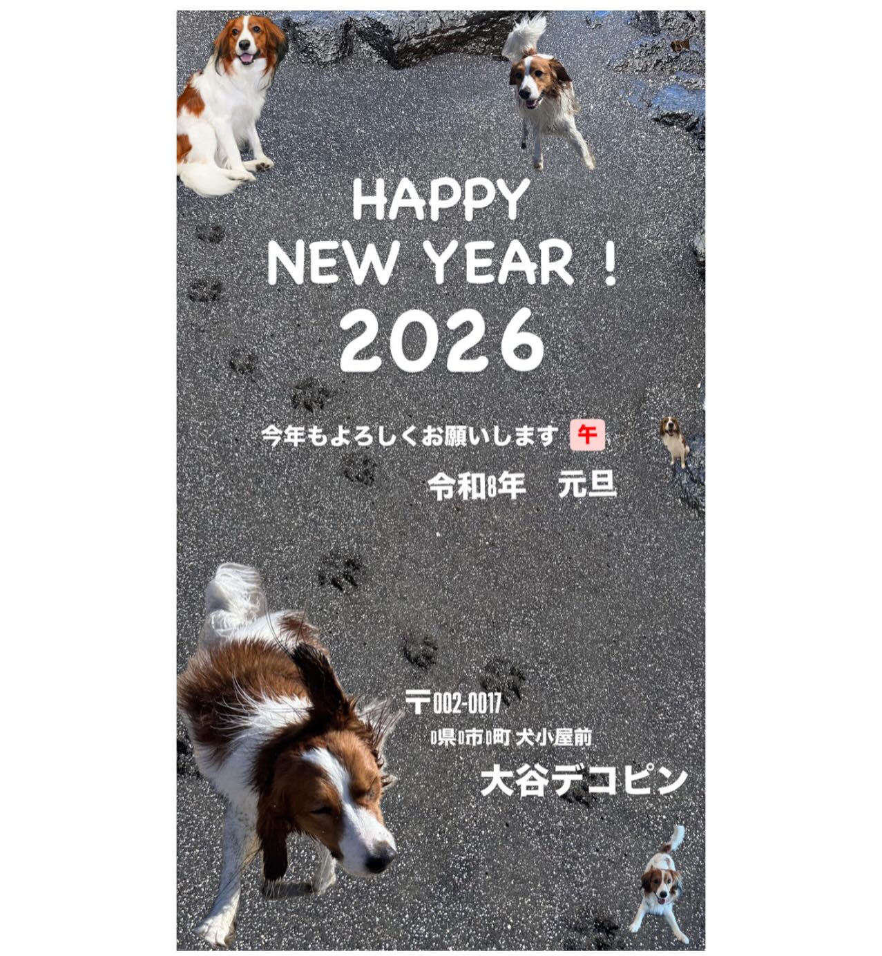 新年から癒やし全開…大谷翔平の“年賀状風投稿”に反響続々