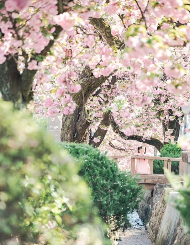 「どこどこ～！？」ラナちゃんのかくれんぼ姿が可愛すぎてファン悶絶！！