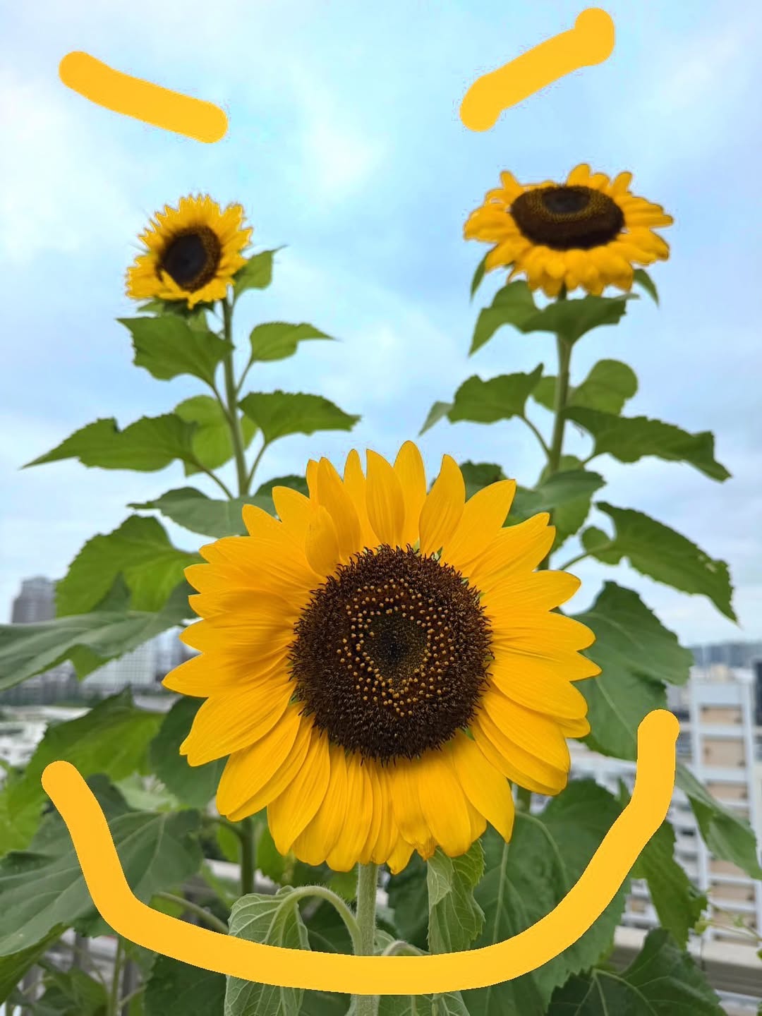 アンミカがキュートな発想の旦那様から元気をもらう！