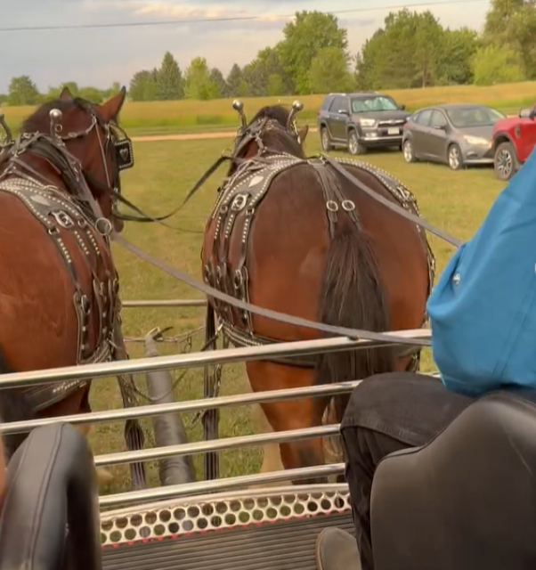 「のんびりと散歩！」元プロ野球選手・上原浩治 心が落ち着く景色を披露！