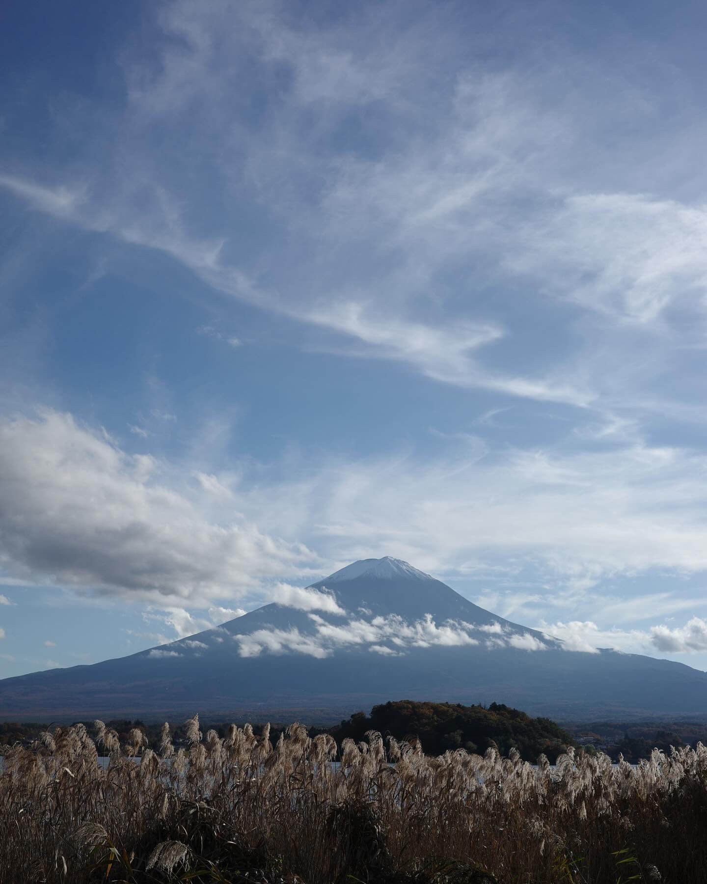 女優・宮本茉由、秋らしい写真を次々とアップ！紅葉が見れてないファンもほっこり