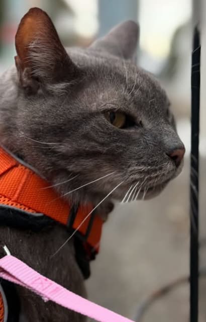 長瀬智也 人間に失望！？意味深メッセージを披露し、波紋広がる！？