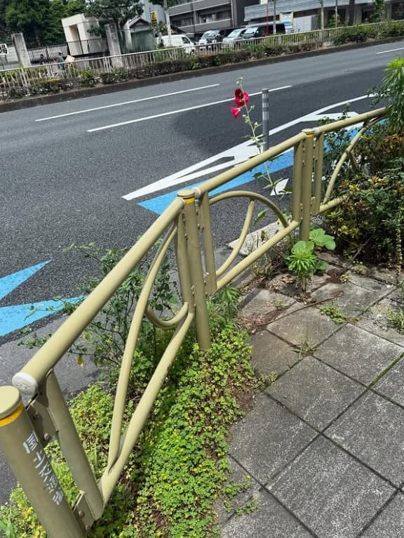 「そんなことあるの⁉」タクシーを止めた〇〇にクロちゃん衝撃‼