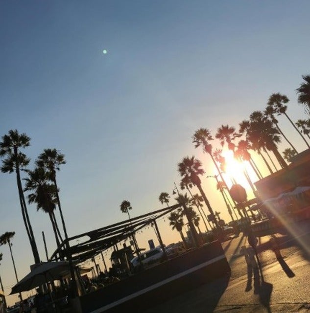 桃井かおりがロサンゼルスの快適な気候に上機嫌！