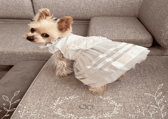 元乃木坂46が結婚を発表💍ラブラブの新婚生活についても語る👀