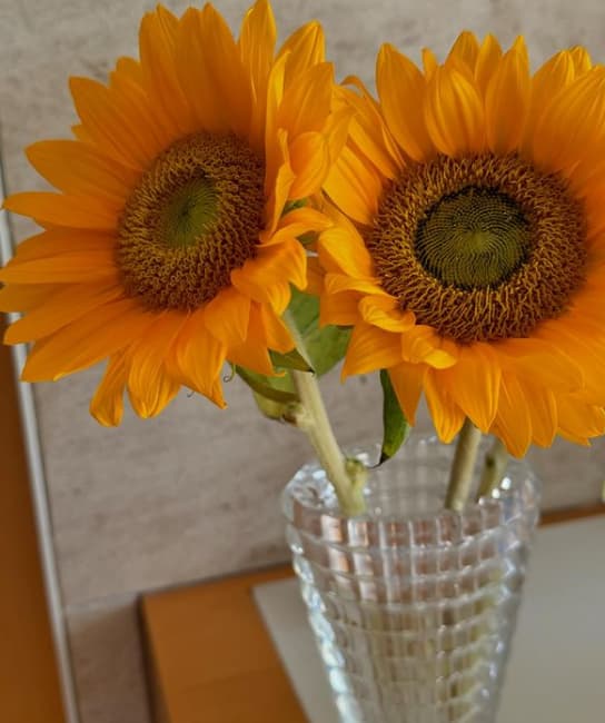 大竹しのぶ長崎原爆投下79年目に祈る、世界平和への願い