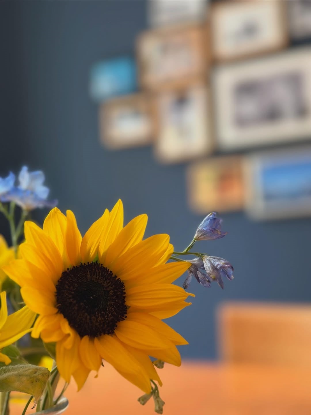 心が和む！香坂みゆきが届けた夏の癒し、一輪のひまわりが放つメッセージ！