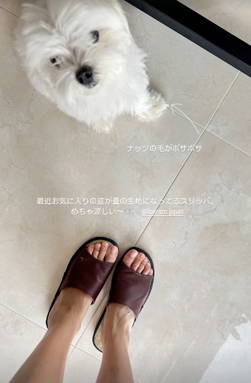 あの女優がワンコと一緒に最近お気に入りのアレを紹介