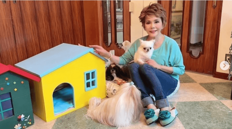 デヴィ夫人、愛犬たちに手作りの新しいお家をプレゼント「ウクライナカラーの家で元気に過ごしてね」