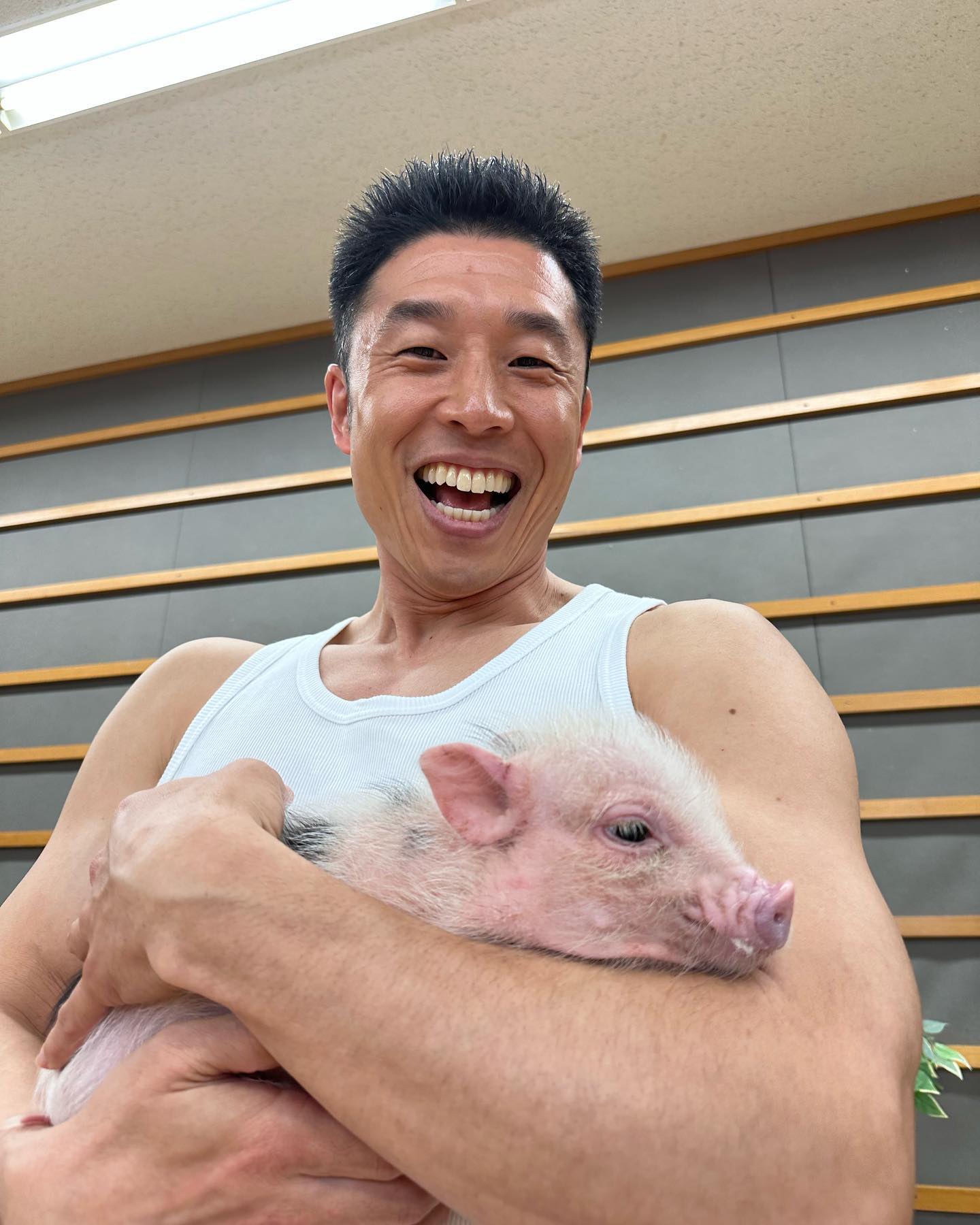 「#キャー筋肉マクラステキー」なかやまきんに君が小動物たちと触れ合う姿を公開🐖🐰