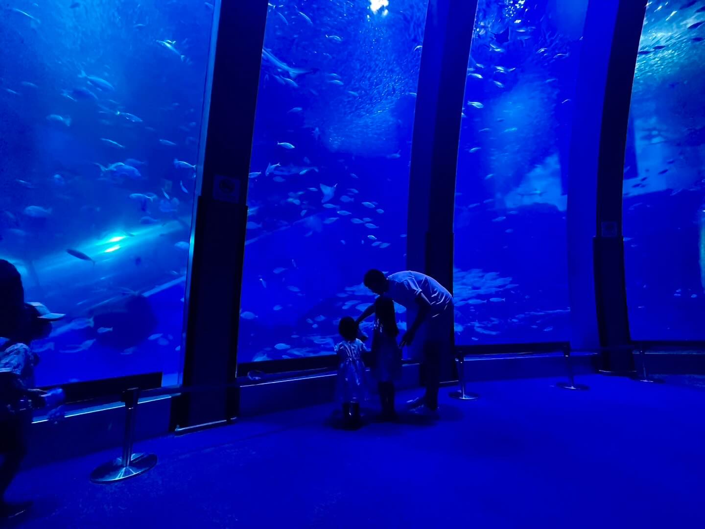 「選手としてもパパとしても素敵とか...」バレー・髙橋健太郎の家族写真にファンもほっこり