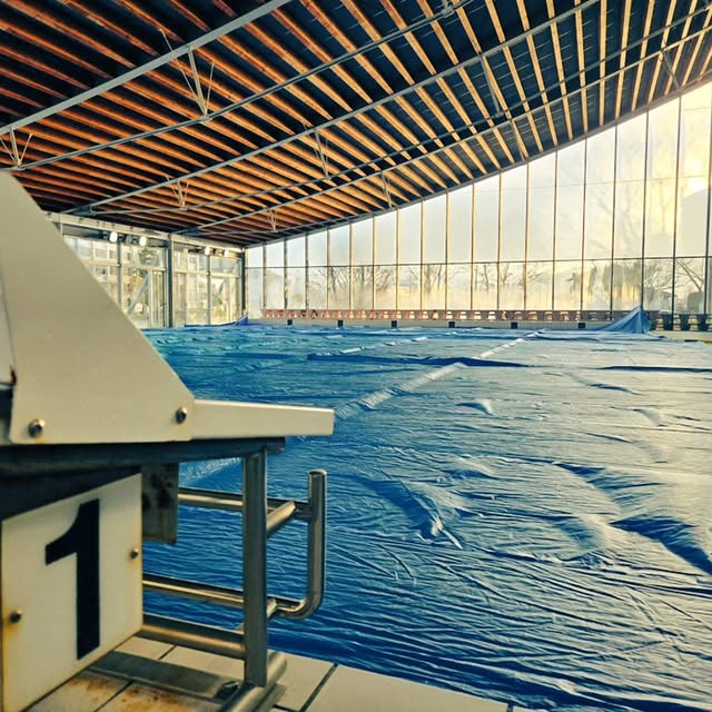 「今年はモンハンの1年に」競泳・鈴木聡美、34歳誕生日のご報告！おめでとうの声続々