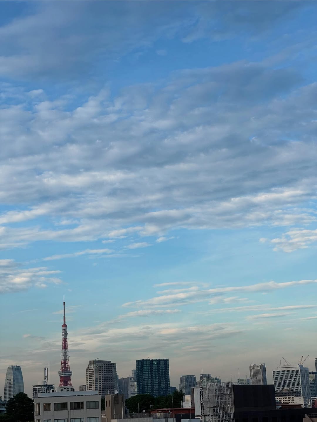 「新しき棲家は景色が嬉しい」桃井かおりが東京へ！