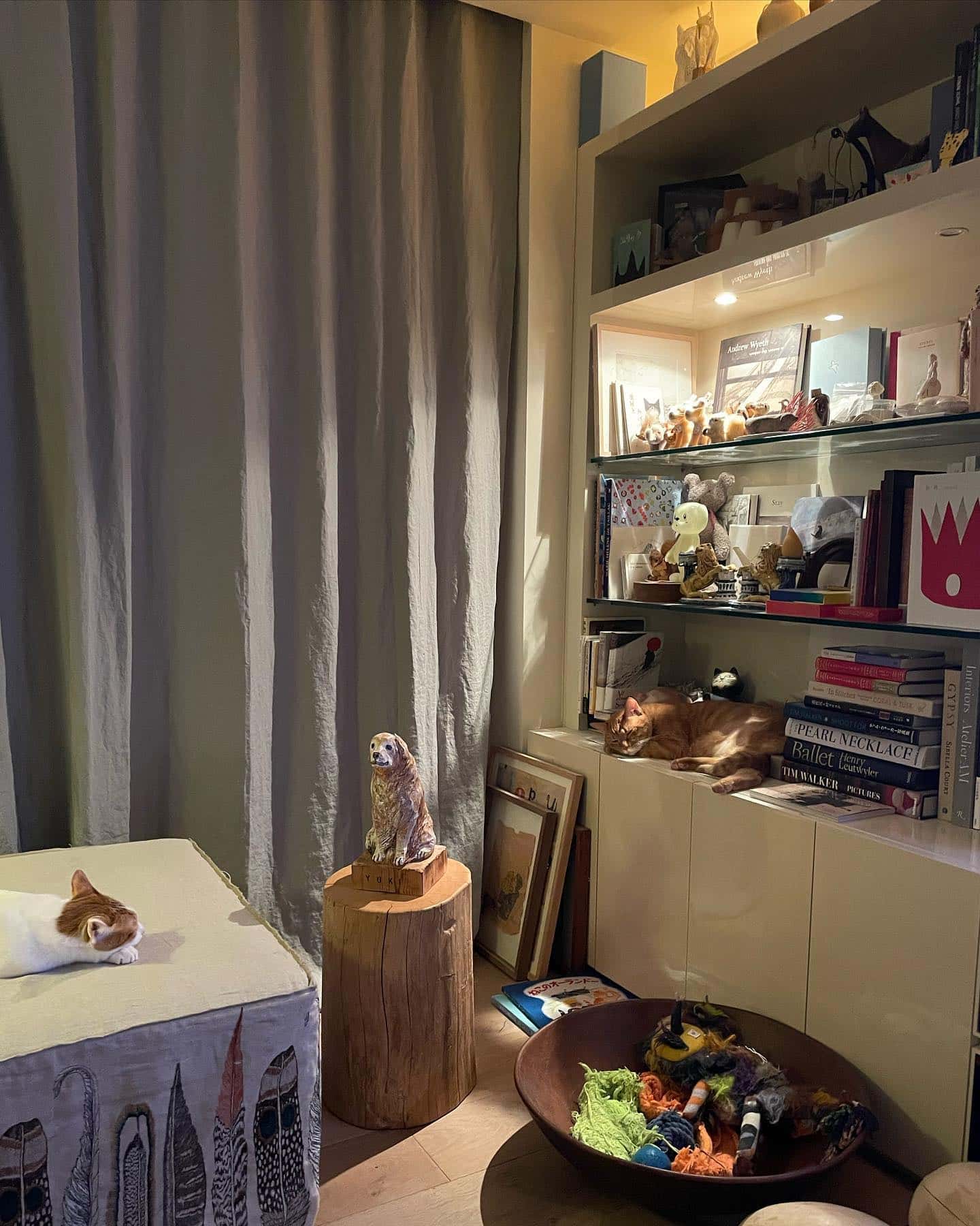 石田ゆり子が吐露「どうかみんなげんきで。」「それだけで宝物」