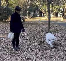 「帰り道だけ元気！」黒田知永子、愛犬トロとのお散歩ムービーにほっこり