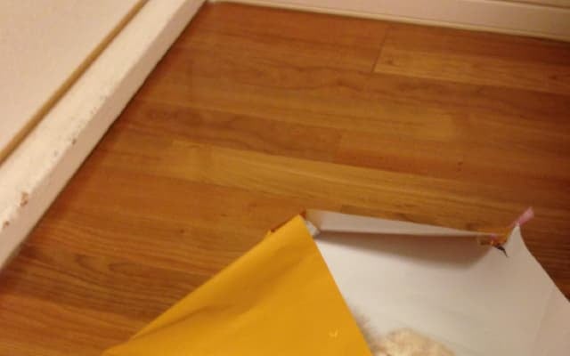 高城れにが愛猫との別れを報告「絶対また逢おうね」