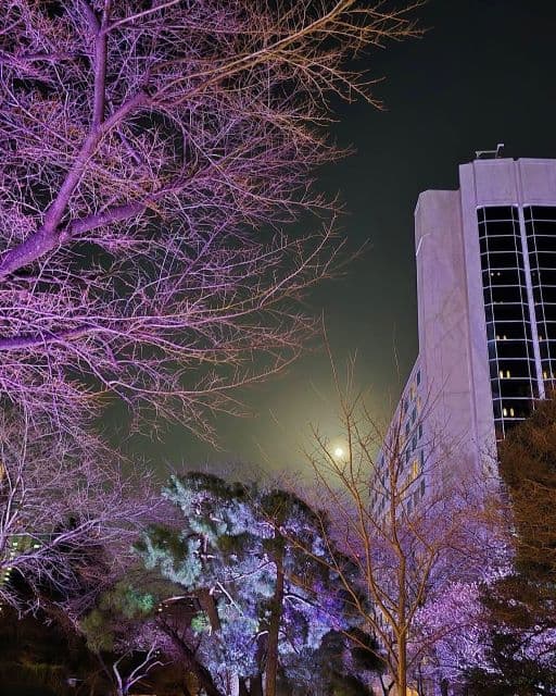 土屋太鳳、”人生の思い出を刻む場所”から見えた3月のワームムーンを公開！