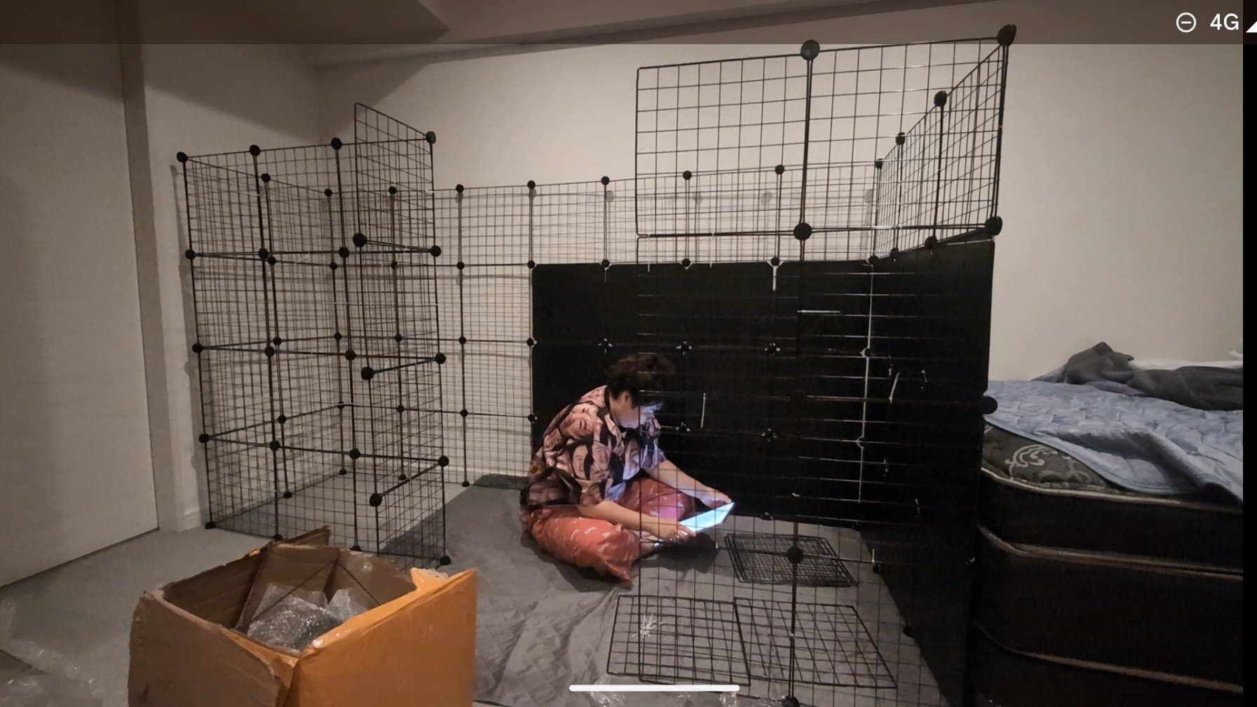 やす子 なぜか大きなゲージDIY