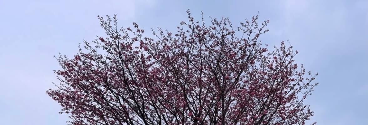 「素晴らしいスマイル溢れる好き♡ポーズやわ～惚れましたぁ～」矢田亜希子の美しすぎるプライベートショットにファンうっとり！