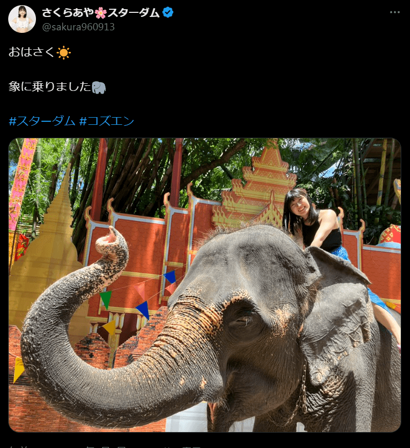 STARDOM さくらあや、象に乗った体験をシェア！ファンも大興奮