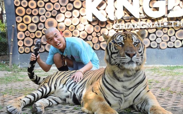 「仲良しですね、虎と。」四千頭身・都築、タイ旅行のオフショットを公開！