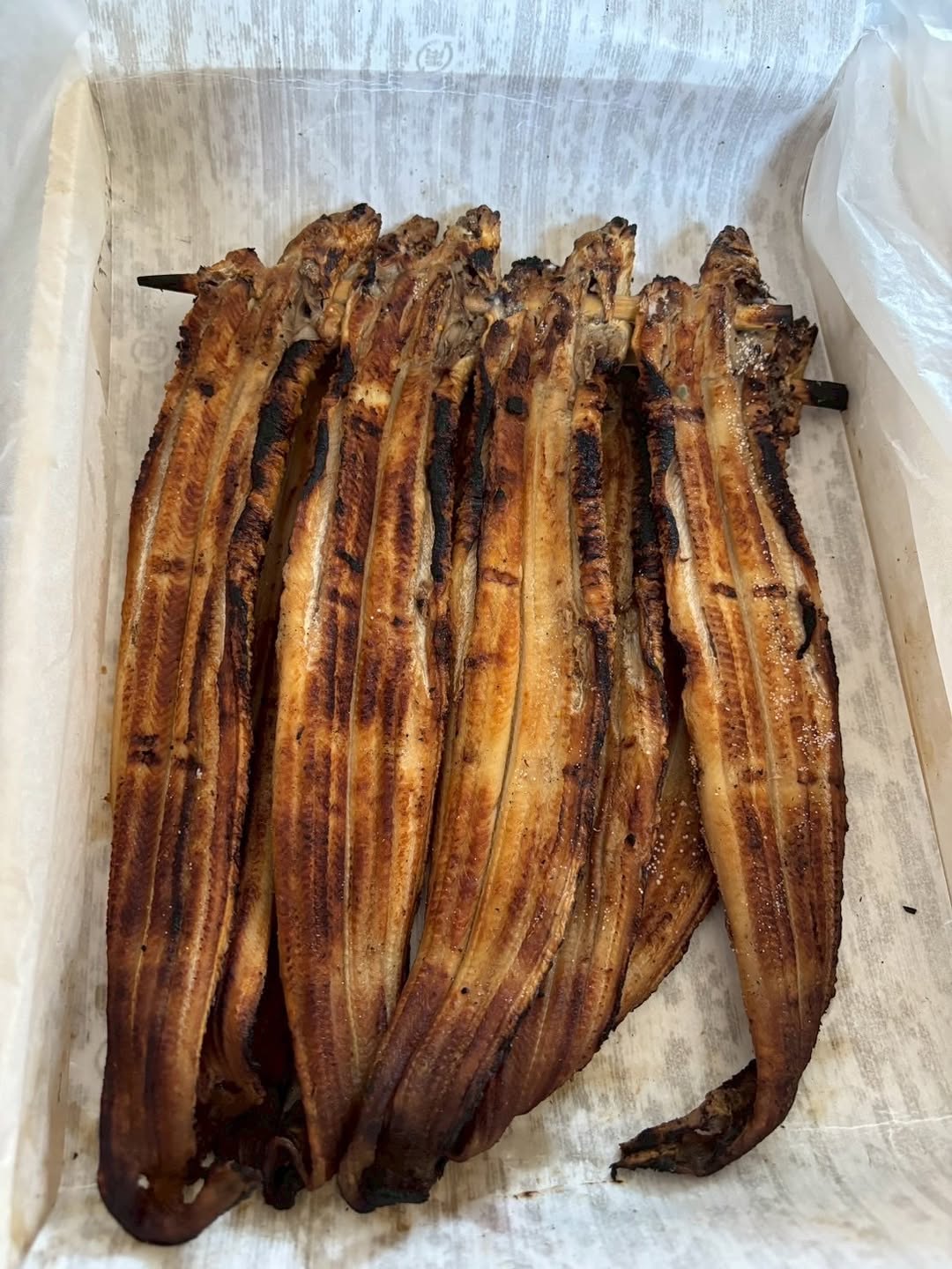 ハイヒール・モモコがもらった焼きあなごを美味しくいただく！