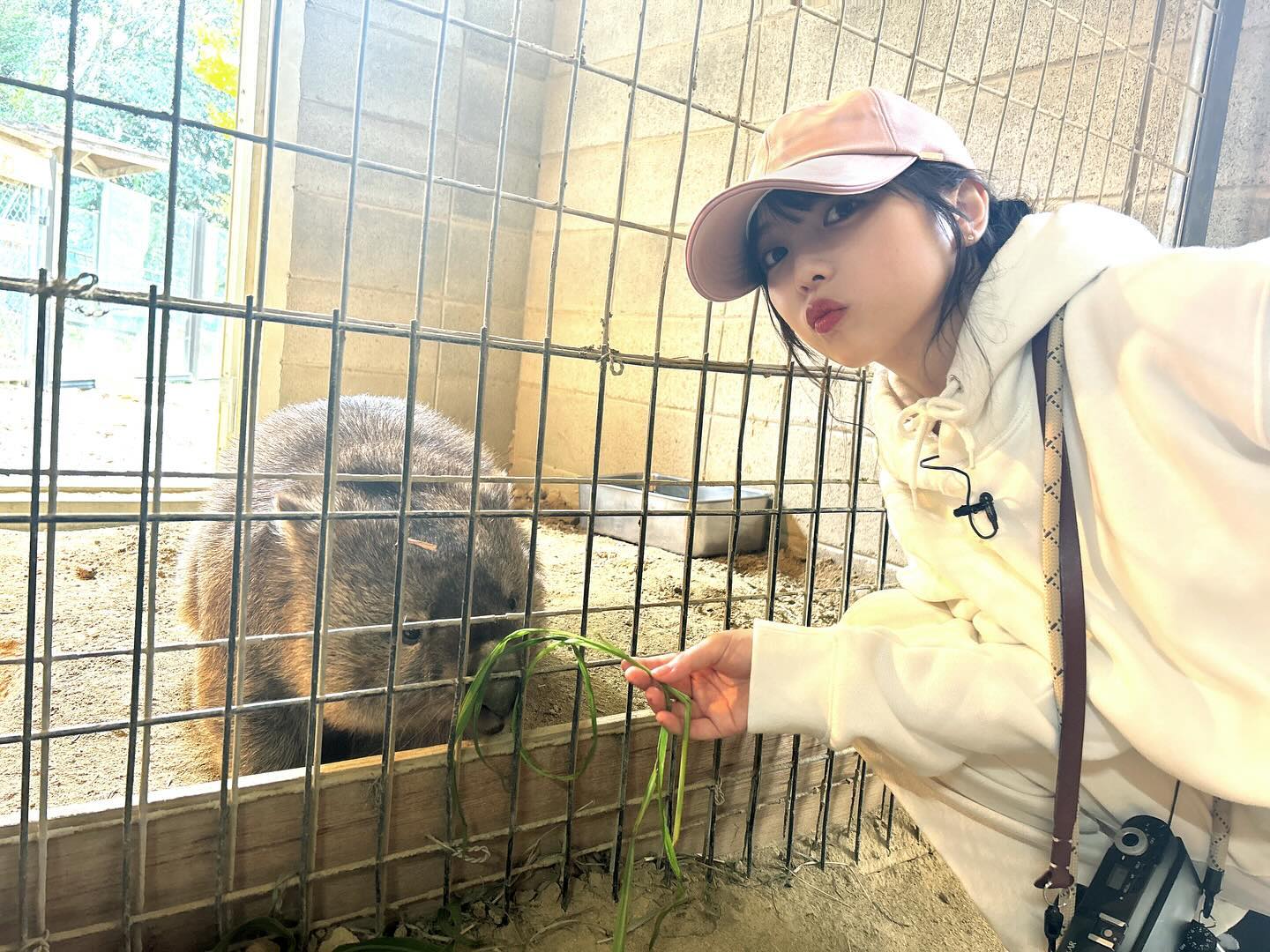 乃木坂46・与田祐希がウォンバットに？可愛すぎるショットも披露✨