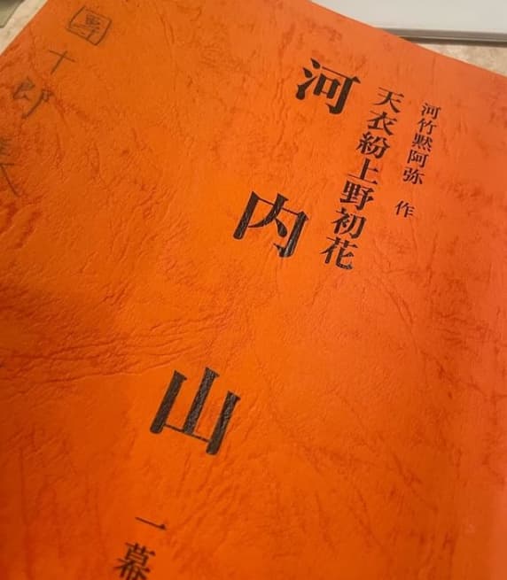 市川海老蔵　台風の日の家での楽しみ「河内山」の魅力