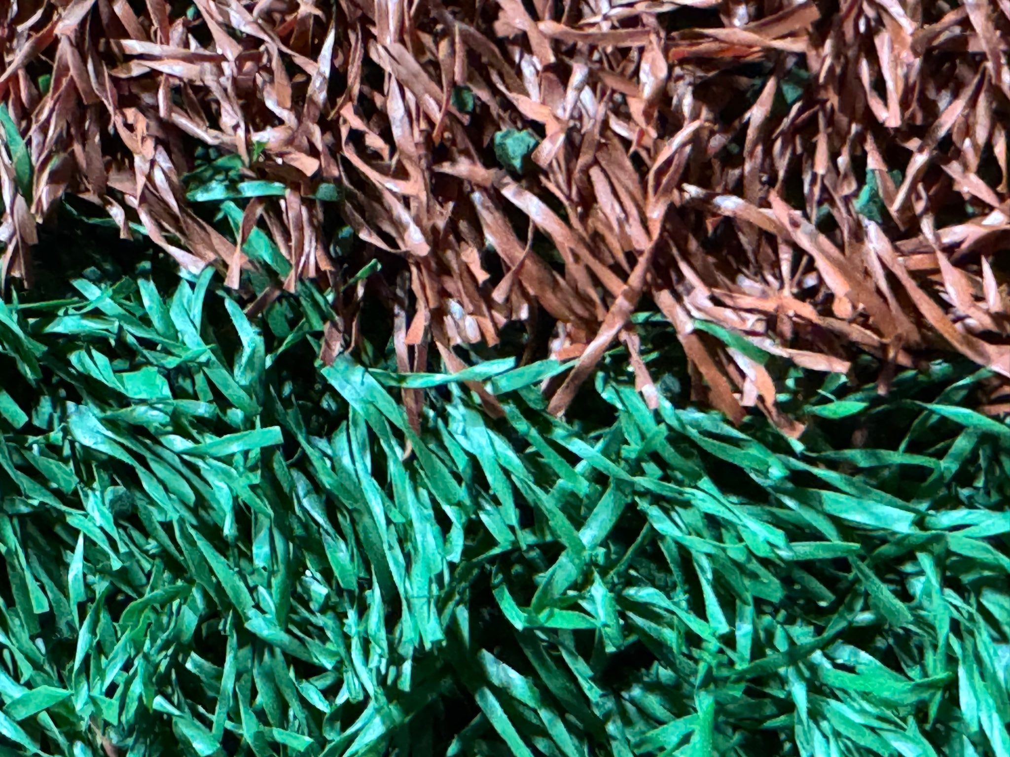 髙橋優斗「ハマスタで仕事なう」未発表プロジェクトを示唆？意味深投稿に注目集まる