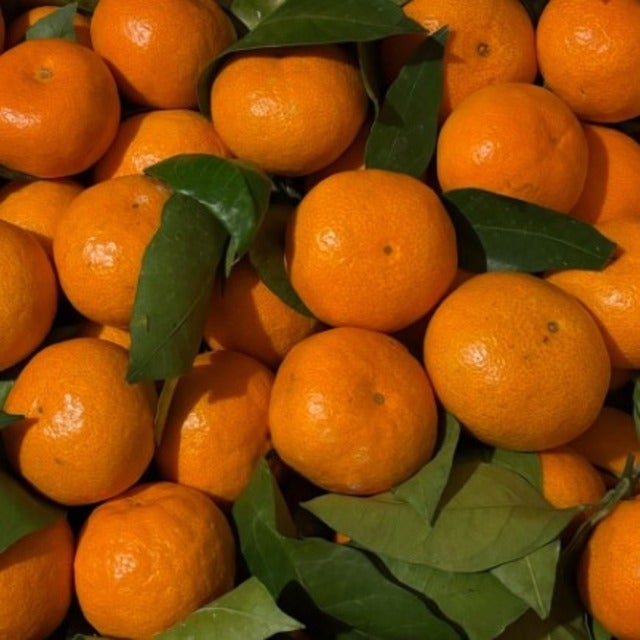 ハイヒール・モモコが甘いみかんにびっくりする！