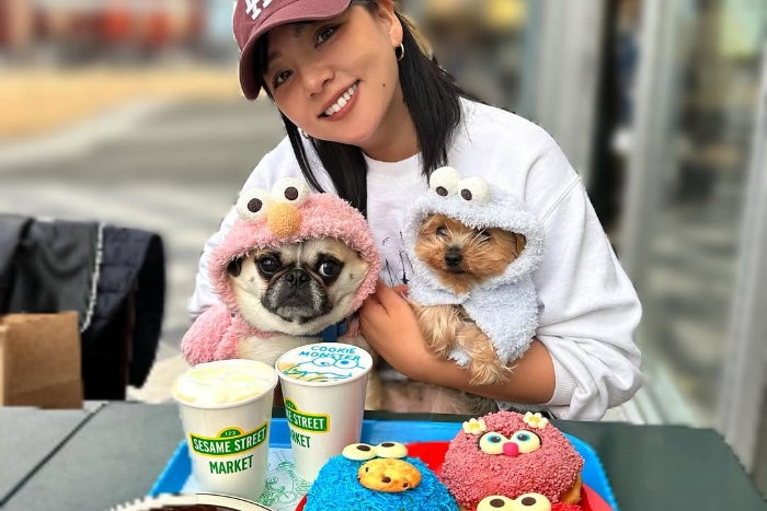 全部が可愛い!!カラフルなクッキーモンスターに野呂佳代メロメロ