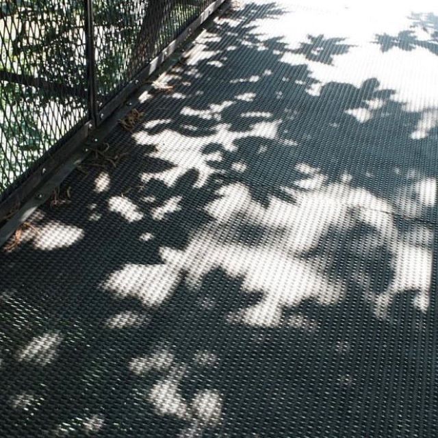 上白石萌音・イギリス生活の近況報告