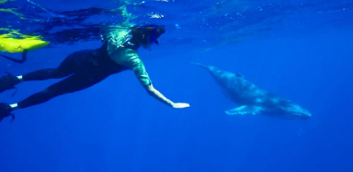 上野樹里、壮大な映像美に感謝「体感してもらえたら嬉しい」